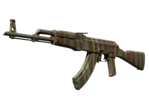 AK-47 | Predator (Well-Worn)