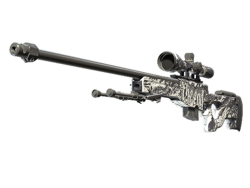 AWP | The End (Well-Worn)