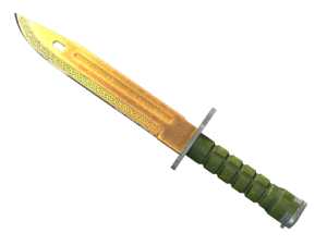 ★ Bayonet | Lore (Well-Worn)