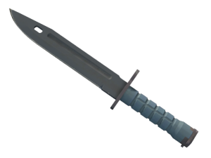 ★ Bayonet | Night (Minimal Wear)