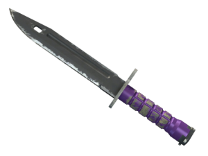 ★ Bayonet | Ultraviolet (Well-Worn)