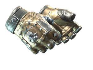 ★ Bloodhound Gloves | Bronzed (Minimal Wear)