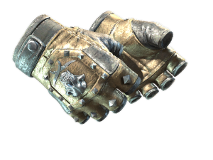 ★ Bloodhound Gloves | Bronzed (Well-Worn)
