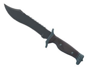 ★ Bowie Knife | Night (Minimal Wear)