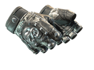 ★ Broken Fang Gloves | Unhinged (Factory New)