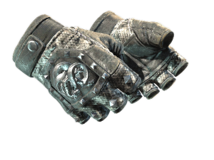 ★ Broken Fang Gloves | Unhinged (Well-Worn)