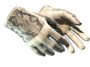 ★ Driver Gloves | King Snake (Minimal Wear)