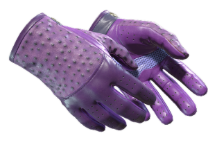 ★ Driver Gloves | Plum Quill (Minimal Wear)