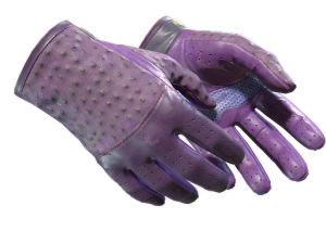 ★ Driver Gloves | Plum Quill (Well-Worn)