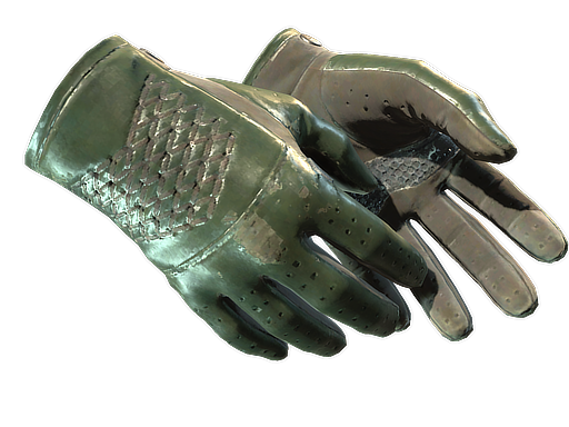 ★ Driver Gloves | Racing Green (Field-Tested)