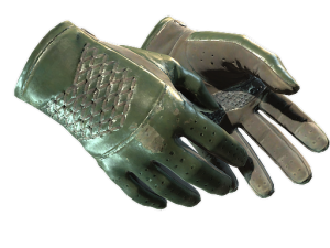 ★ Driver Gloves | Racing Green (Well-Worn)