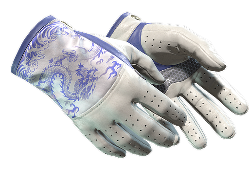 ★ Driver Gloves | Wave Chaser (Minimal Wear)