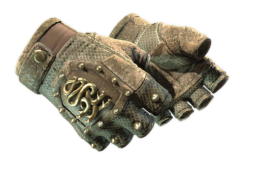 ★ Hydra Gloves | Mangrove (Battle-Scarred)