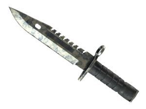 ★ M9 Bayonet | Stained (Battle-Scarred)