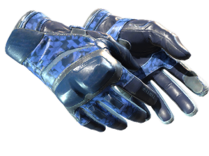 ★ Moto Gloves | Polygon (Field-Tested)