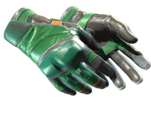 ★ Moto Gloves | Turtle (Well-Worn)