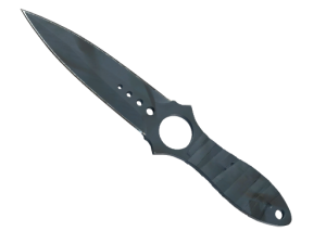 ★ Skeleton Knife | Night Stripe (Well-Worn)