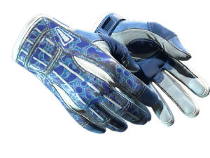 ★ Sport Gloves | Amphibious (Well-Worn)