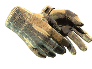★ Sport Gloves | Arid (Field-Tested)