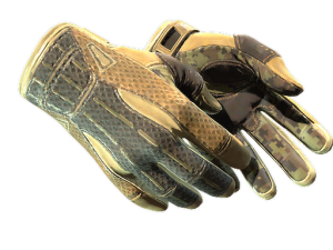 ★ Sport Gloves | Arid (Well-Worn)