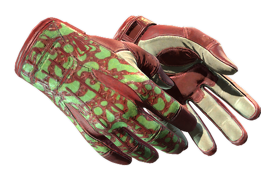 ★ Sport Gloves | Bronze Morph (Factory New)