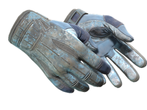 ★ Sport Gloves | Frosty (Battle-Scarred)