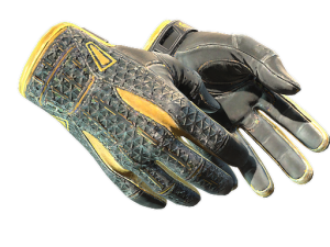 ★ Sport Gloves | Omega (Well-Worn)