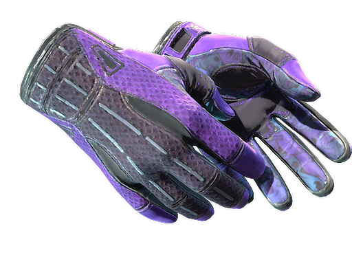 ★ Sport Gloves | Pandora's Box (Well-Worn)