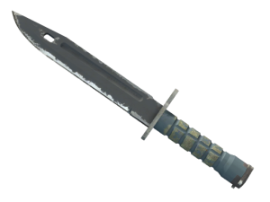 ★ StatTrak™ Bayonet | Night (Field-Tested)