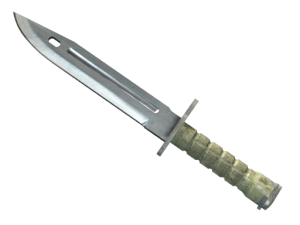 ★ StatTrak™ Bayonet