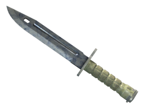 ★ StatTrak™ Bayonet | Stained (Field-Tested)