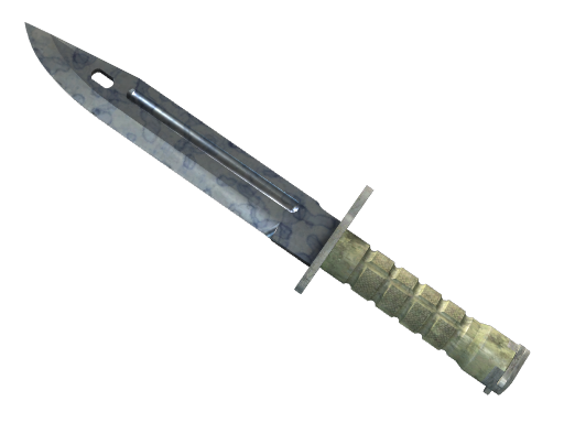 ★ StatTrak™ Bayonet | Stained (Field-Tested)