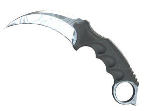 ★ StatTrak™ Karambit | Damascus Steel (Field-Tested)