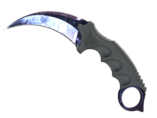 ★ StatTrak™ Karambit | Doppler (Factory New)