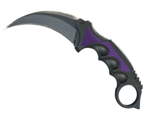 ★ StatTrak™ Karambit | Ultraviolet (Field-Tested)