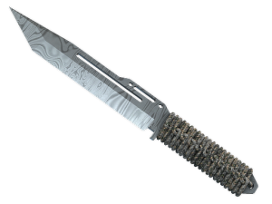 ★ StatTrak™ Paracord Knife | Damascus Steel (Field-Tested)