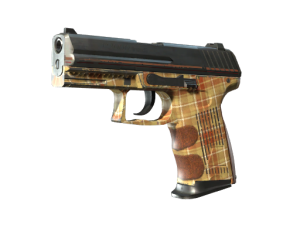 P2000 | Coach Class (Field-Tested)