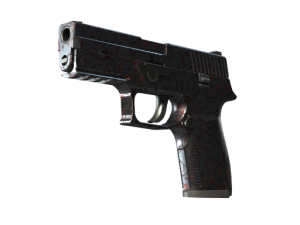 P250 | Dark Filigree (Well-Worn)