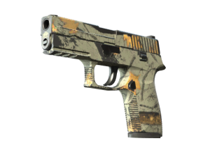 P250 | Modern Hunter (Field-Tested)