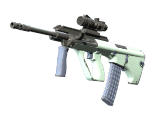 Souvenir AUG | Storm (Well-Worn)
