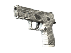 Souvenir P250 | Sleet (Field-Tested)