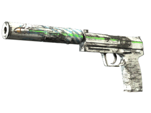 Souvenir USP-S | Road Rash (Factory New)
