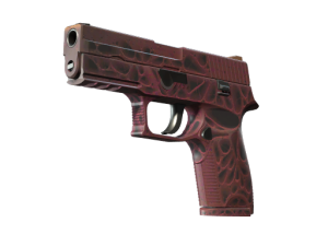 StatTrak™ P250 | Contaminant (Factory New)